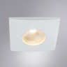 Влагозащищенный светильник ARTE Lamp A4764PL-1WH PHACT