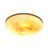 Настенно-потолочный светильник Сонекс 7726/DL SUN