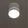 Накладной светильник Citilux CL745020N Борн