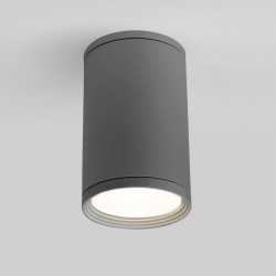 Накладной уличный светильник Elektrostandard Light 2101 (35128/H) серый Light