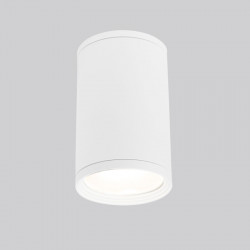 Накладной уличный светильник Elektrostandard Light 2101 (35128/H) белый Light