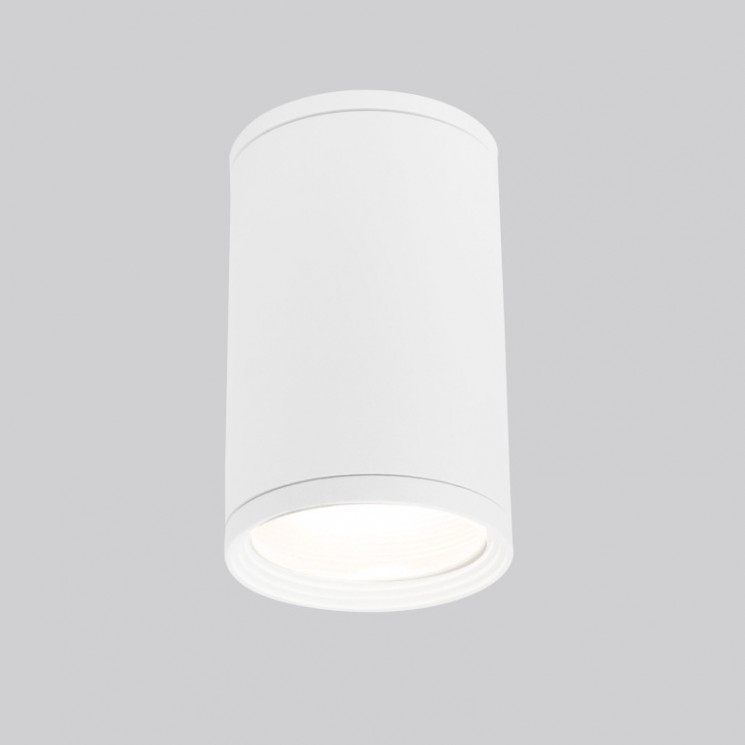 Накладной уличный светильник Elektrostandard Light 2101 (35128/H) белый Light