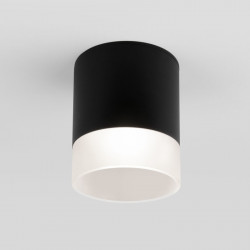 Накладной уличный светильник Elektrostandard Light LED 2107 (35140/H) черный Light LED