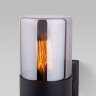 Светильник настенный Elektrostandard Roil (35125/U) чёрный/дымчатый плафон Roil