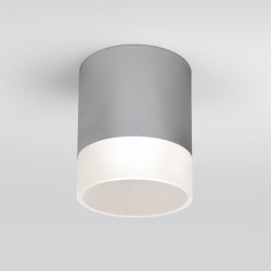 Накладной уличный светильник Elektrostandard Light LED 2107 (35140/H) серый Light LED