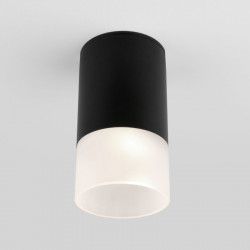 Накладной уличный светильник Elektrostandard Light LED 2106 (35139/H) черный Light LED