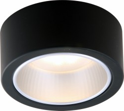 Накладной светильник Arte Lamp A5553PL-1BK