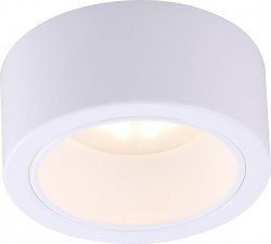 Накладной светильник Arte Lamp A5553PL-1WH