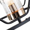 Подвесная люстра ARTE Lamp A7004SP-6BK CELAENO