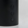 Настольная лампа Eurosvet 80425/1 черный PREMIER
